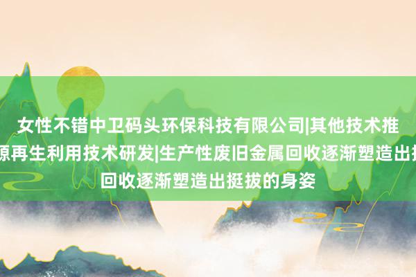 女性不错中卫码头环保科技有限公司|其他技术推广服务|资源再生利用技术研发|生产性废旧金属回收逐渐塑造出挺拔的身姿