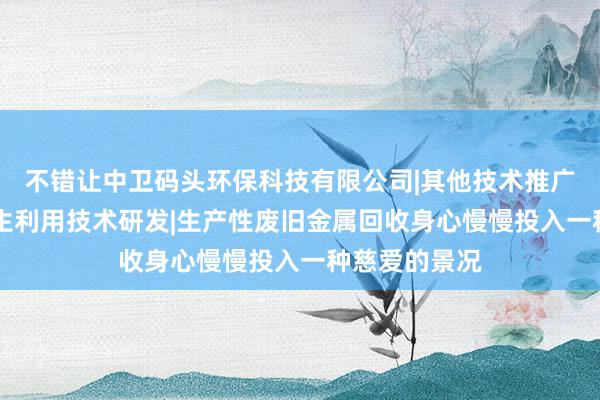 不错让中卫码头环保科技有限公司|其他技术推广服务|资源再生利用技术研发|生产性废旧金属回收身心慢慢投入一种慈爱的景况