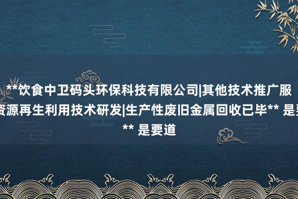 **饮食中卫码头环保科技有限公司|其他技术推广服务|资源再生利用技术研发|生产性废旧金属回收已毕** 是要道