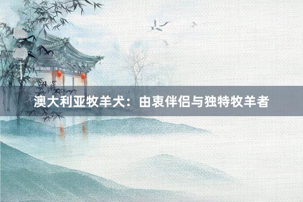 澳大利亚牧羊犬:由衷伴侣与独特牧羊者