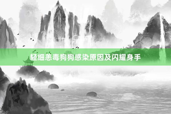 轻细恙毒狗狗感染原因及闪耀身手